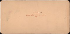 [Group of 107 Stereograph Views of Animals], Keystone View Company, Albumen silver prints