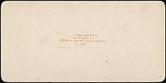 [Group of 107 Stereograph Views of Animals], Keystone View Company, Albumen silver prints
