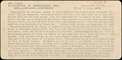 [Group of 107 Stereograph Views of Animals], Keystone View Company, Albumen silver prints
