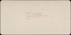 [Group of 107 Stereograph Views of Animals], Keystone View Company, Albumen silver prints