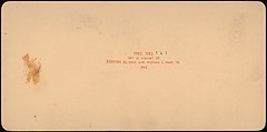 [Group of 107 Stereograph Views of Animals], Keystone View Company, Albumen silver prints