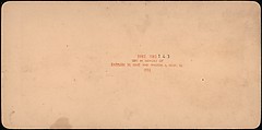 [Group of 107 Stereograph Views of Animals], Keystone View Company, Albumen silver prints
