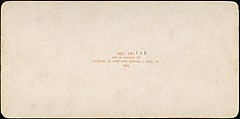 [Group of 107 Stereograph Views of Animals], Keystone View Company, Albumen silver prints