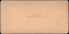 [Group of 107 Stereograph Views of Animals], Keystone View Company, Albumen silver prints