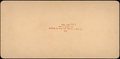 [Group of 107 Stereograph Views of Animals], Keystone View Company, Albumen silver prints