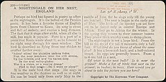 [Group of 107 Stereograph Views of Animals], Keystone View Company, Albumen silver prints