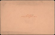[Group of 107 Stereograph Views of Animals], Keystone View Company, Albumen silver prints