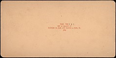 [Group of 107 Stereograph Views of Animals], Keystone View Company, Albumen silver prints