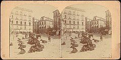 [Group of 107 Stereograph Views of Animals], Keystone View Company, Albumen silver prints