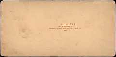 [Group of 107 Stereograph Views of Animals], Keystone View Company, Albumen silver prints