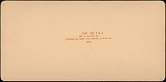 [Group of 107 Stereograph Views of Animals], Keystone View Company, Albumen silver prints