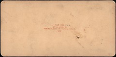 [Group of 107 Stereograph Views of Animals], Keystone View Company, Albumen silver prints