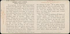 [Group of 107 Stereograph Views of Animals], Keystone View Company, Albumen silver prints