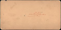 [Group of 107 Stereograph Views of Animals], Keystone View Company, Albumen silver prints