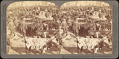 [Group of 107 Stereograph Views of Animals], Keystone View Company, Albumen silver prints