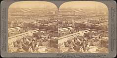 [Group of 107 Stereograph Views of Animals], Keystone View Company, Albumen silver prints