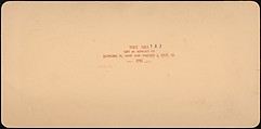 [Group of 107 Stereograph Views of Animals], Keystone View Company, Albumen silver prints