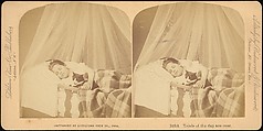 [Group of 107 Stereograph Views of Animals], Keystone View Company, Albumen silver prints