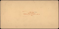 [Group of 107 Stereograph Views of Animals], Keystone View Company, Albumen silver prints
