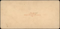 [Group of 107 Stereograph Views of Animals], Keystone View Company, Albumen silver prints