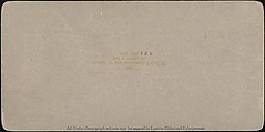 [Group of 107 Stereograph Views of Animals], Keystone View Company, Albumen silver prints