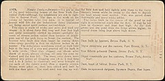 [Group of 107 Stereograph Views of Animals], Keystone View Company, Albumen silver prints