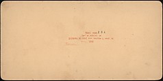 [Group of 107 Stereograph Views of Animals], Keystone View Company, Albumen silver prints
