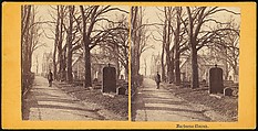 [Group of 17 Early Stereograph Views of British Churches], Sedgfield&#39;s English Scenery (British), Albumen silver prints