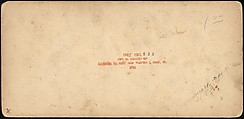 [Group of 11 Early Stereograph Views of British Landscapes], Westley's Cheltenham Library (British), Albumen silver prints