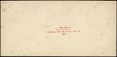 [Group of 11 Early Stereograph Views of British Landscapes], Westley&#39;s Cheltenham Library (British), Albumen silver prints