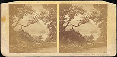 [Group of 11 Early Stereograph Views of British Landscapes], Westley&#39;s Cheltenham Library (British), Albumen silver prints