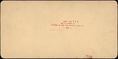 [Pair of Stereograph Views of the Royal Botanic Gardens, Kew Gardens, London, England], J. F. Jarvis (American), Albumen silver prints