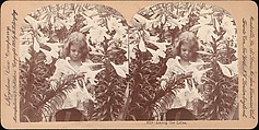 [Group of 28 Stereograph Views of Children], Keystone View Company, Albumen silver prints