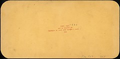 [Group of 13 Stereograph Views of Families and Children], Keystone View Company, Albumen silver prints