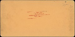 [Group of 31 Stereograph Views of Children With Animals], Life Groups (American), Albumen silver prints