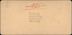 [Group of 31 Stereograph Views of Children With Animals], Life Groups (American), Albumen silver prints