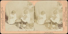 [Group of 31 Stereograph Views of Children With Animals], Life Groups (American), Albumen silver prints