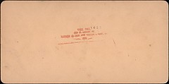 [Group of 31 Stereograph Views of Children With Animals], Life Groups (American), Albumen silver prints