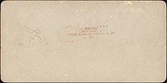 [Group of 31 Stereograph Views of Children With Animals], Life Groups (American), Albumen silver prints
