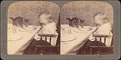[Group of 31 Stereograph Views of Children With Animals], Life Groups (American), Albumen silver prints