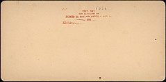[Group of 31 Stereograph Views of Children With Animals], Life Groups (American), Albumen silver prints