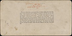 [Group of 31 Stereograph Views of Children With Animals], Life Groups (American), Albumen silver prints