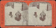 [Group of 31 Stereograph Views of Children With Animals], Life Groups (American), Albumen silver prints