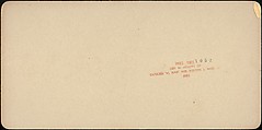 [Group of 31 Stereograph Views of Children With Animals], Life Groups (American), Albumen silver prints
