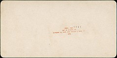[Group of 31 Stereograph Views of Children With Animals], Life Groups (American), Albumen silver prints