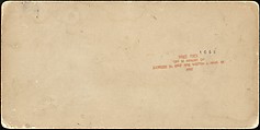 [Group of 31 Stereograph Views of Children With Animals], Life Groups (American), Albumen silver prints