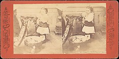 [Group of 31 Stereograph Views of Children With Animals], Life Groups (American), Albumen silver prints
