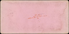 [Group of 31 Stereograph Views of Children With Animals], Life Groups (American), Albumen silver prints
