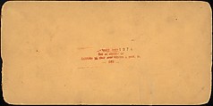 [Group of 31 Stereograph Views of Children With Animals], Life Groups (American), Albumen silver prints