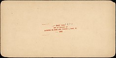 Comic Series | [Group of 55 Stereograph Views of Groups of Children ...